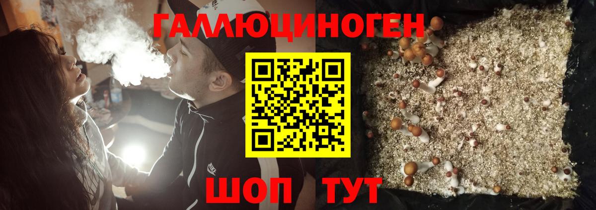 Галлюциногенные грибы Psilocybine cubensis  Вход с VPN  Верхний Уфалей  Псилоцибиновые грибы GOLDEN TEACHER 
